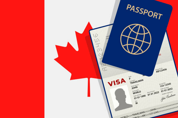 A professional securing a job offer in Canada to apply for a work permit