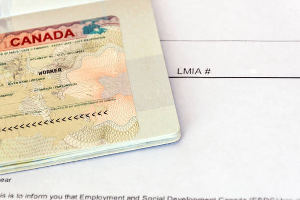 A professional securing a job offer in Canada to apply for a work permit