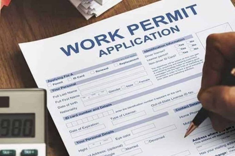 UAE worker using a mobile app to renew a work permit in under a day.