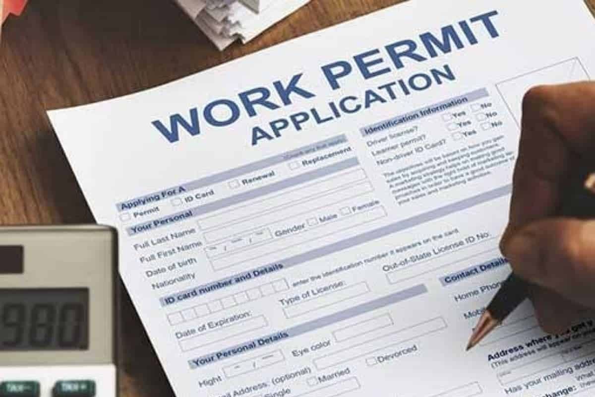 UAE worker using a mobile app to renew a work permit in under a day.