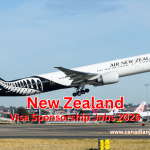 New Zealand visa sponsorship career fields chart