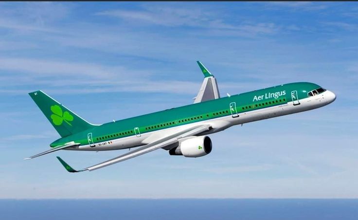 International job seeker applying for visa sponsorship jobs in Ireland on a laptop