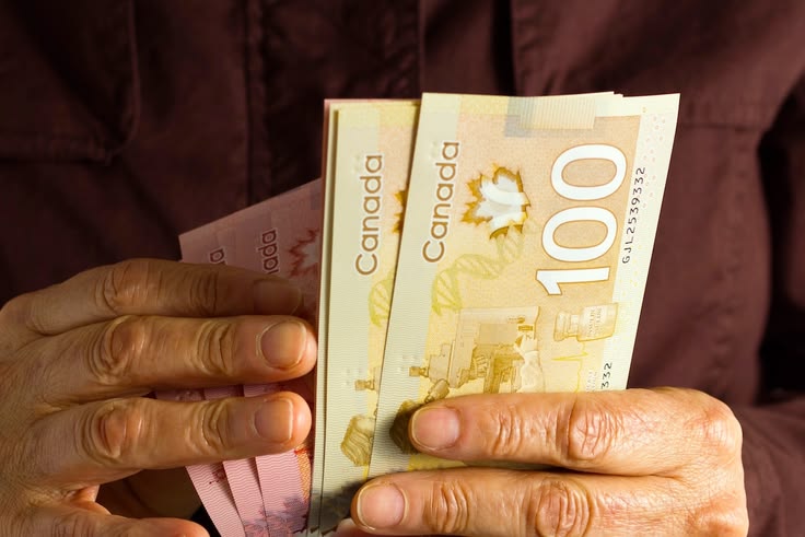 Seasonal workers picking fruits in Canada farm